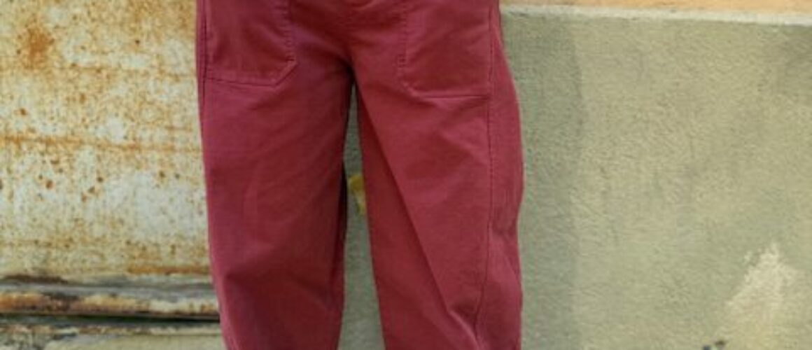 IMG_6541 Pantalon Gaston